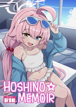 HOSHINO ☆ MEMOIR